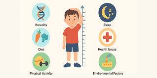 How Protein Affects Height Growth in Children and Teenagers