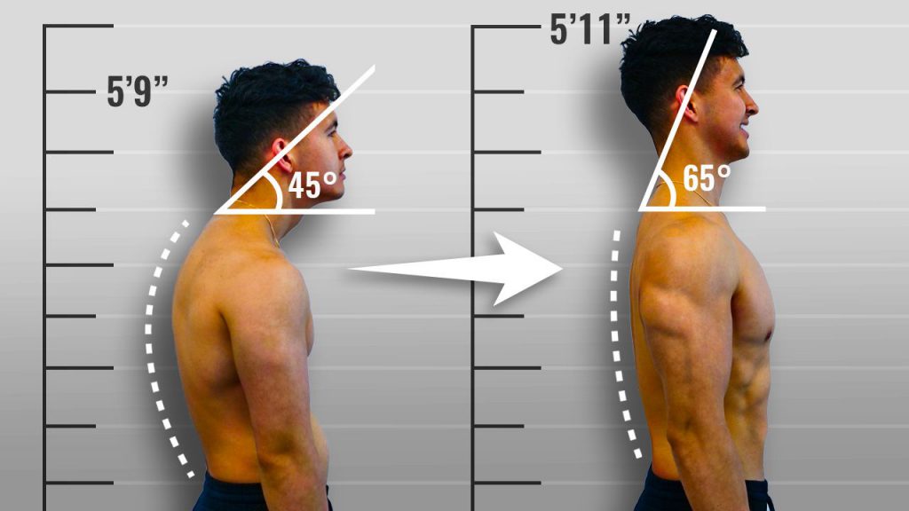 Can Adults Still Grow Taller1