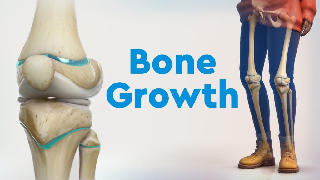 The Science Behind Height Growth