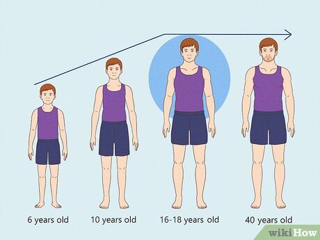 Can Adults Still Grow Taller-moinhat